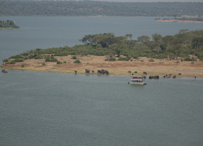 Savanna Game Drives in Eastern Rwanda